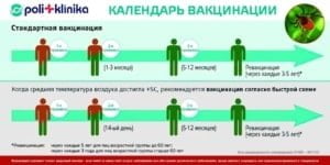 Прививка от клещевого энцефалита – за и против