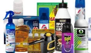 Эффективная борьба с клопами: горчица — проверенное средство!