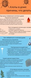 Как избавиться от клопов в одежде: эффективные методы и рекомендации