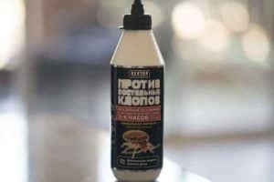 Как избавиться от постельных клопов: эффективный сектор против насекомых